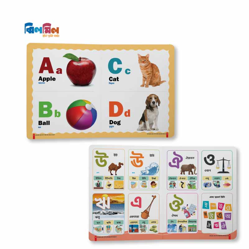 Big Picture Board Book (14 Books) + 8.5 Writing Tab