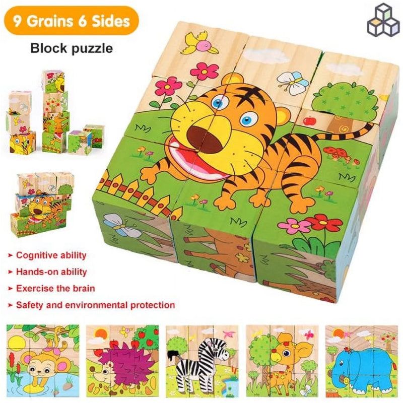 6 Side Painting Transport Cube Block 3D Wooden Puzzle