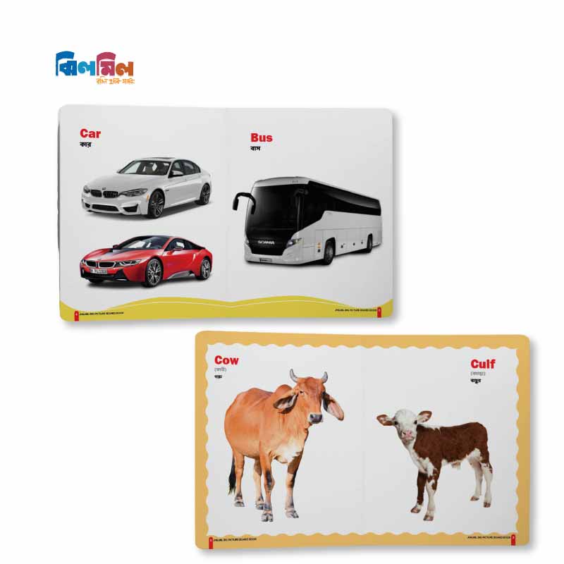 Big Picture Board Book 7 Level - 2