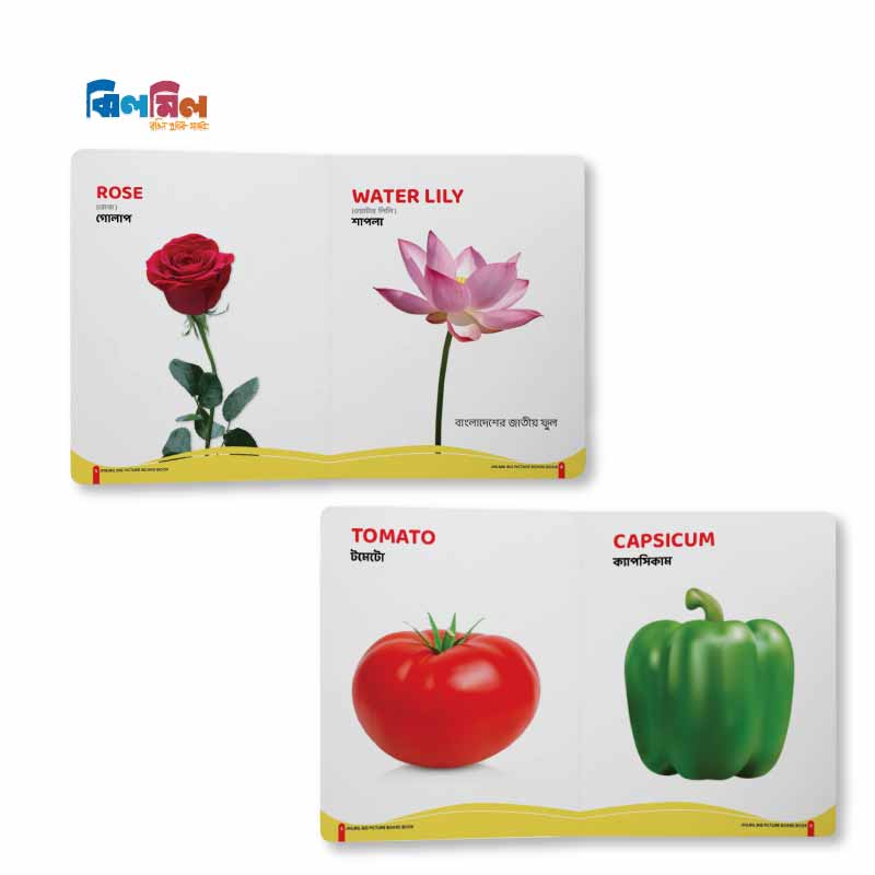 Big Picture Board Book 7 Level - 2