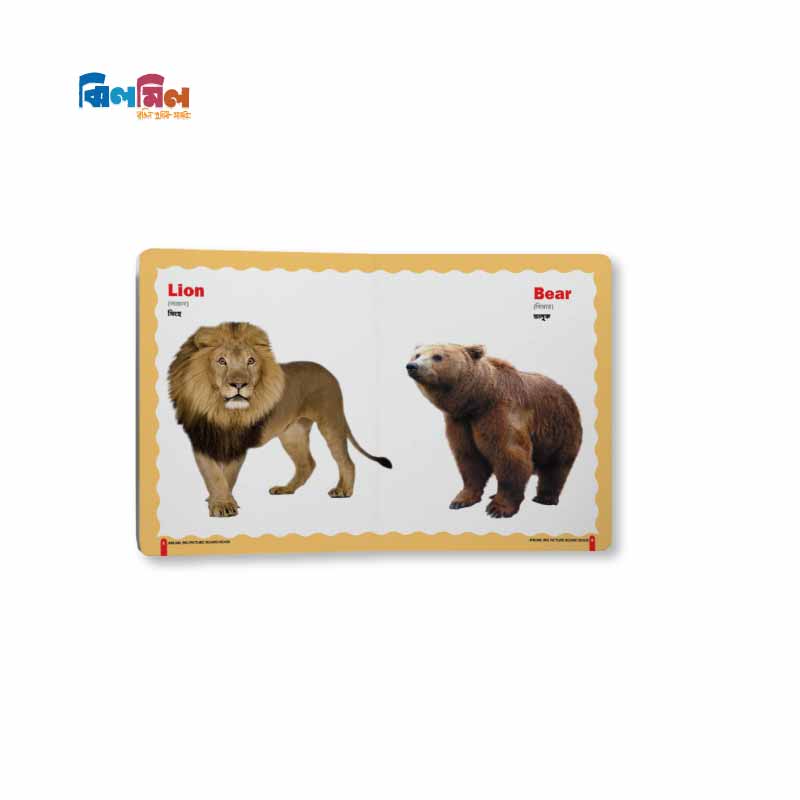 Big Picture Board Book 7 Level - 2