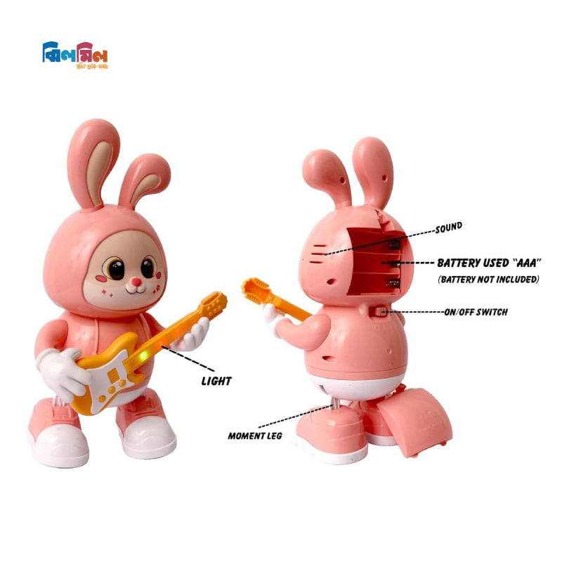 Rabbit Guiterist