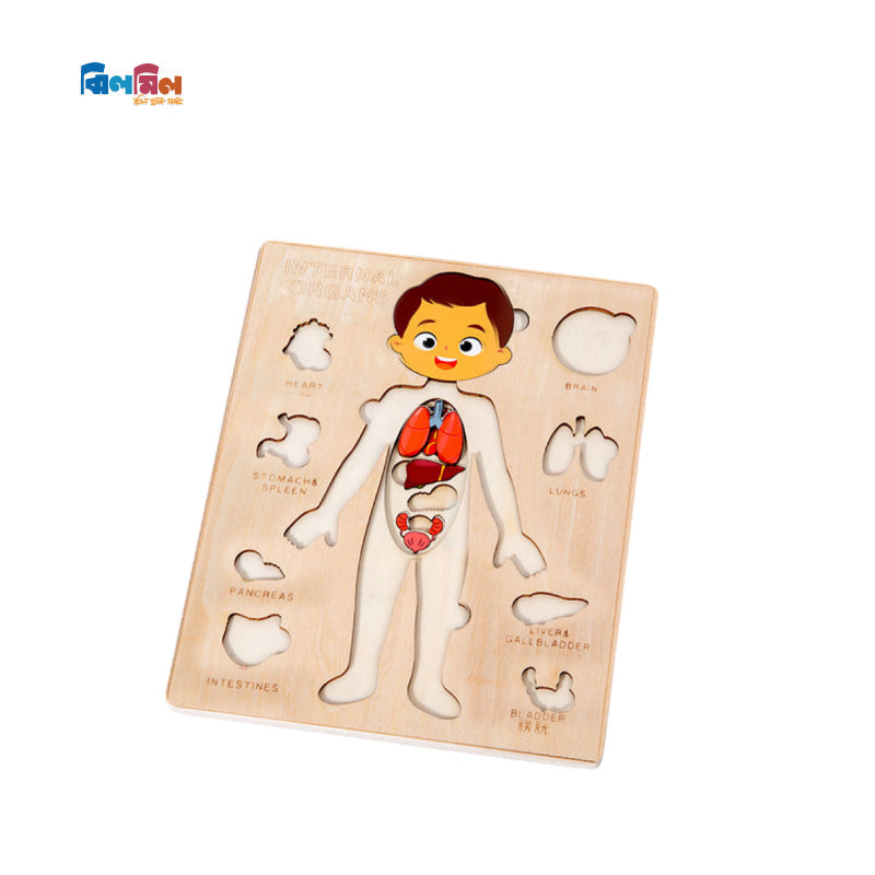 Montessori Human Body Puzzle