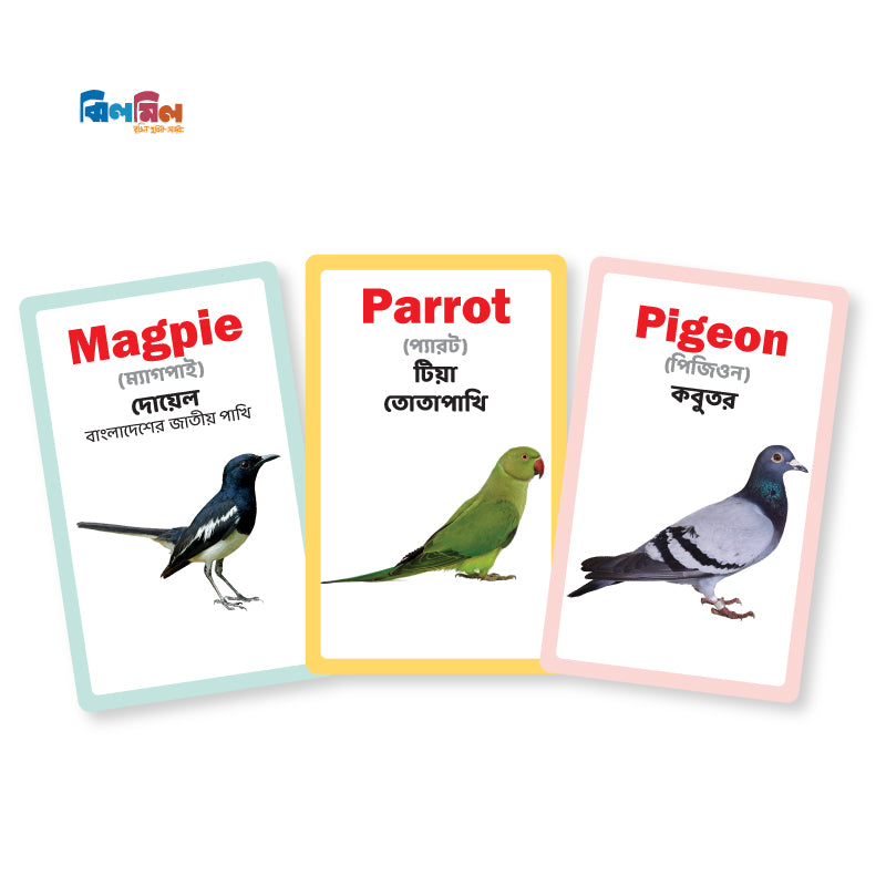 Flash card 7 in One (Small Size)