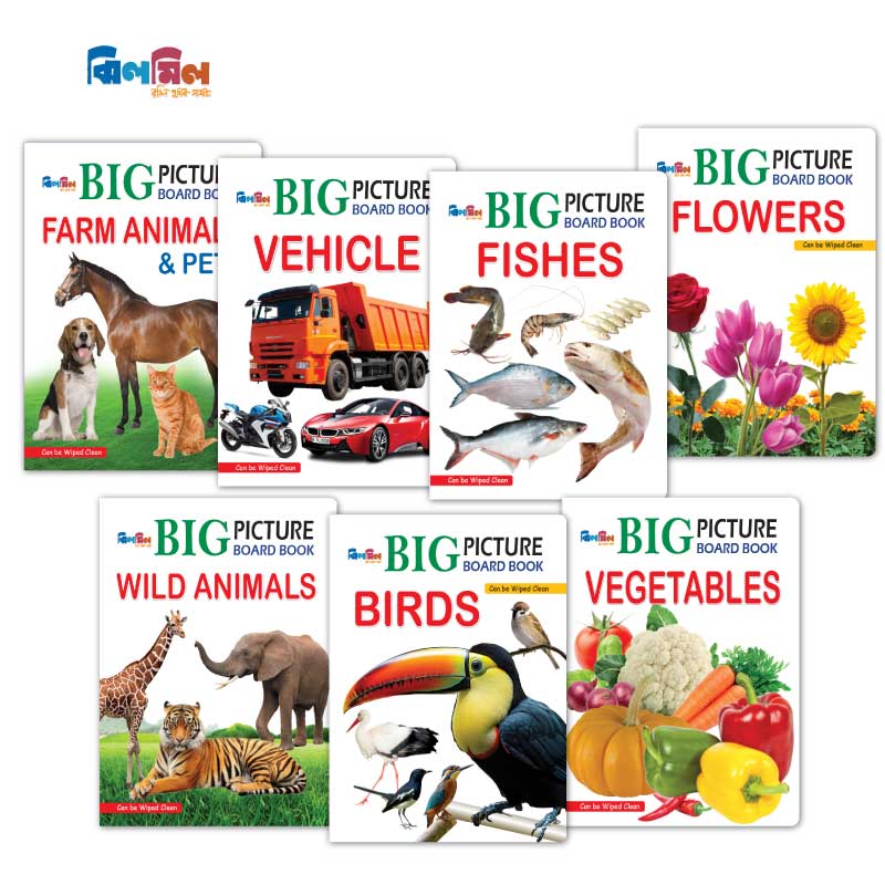 Big Picture Board Book (14 Books) + 8.5 Writing Tab