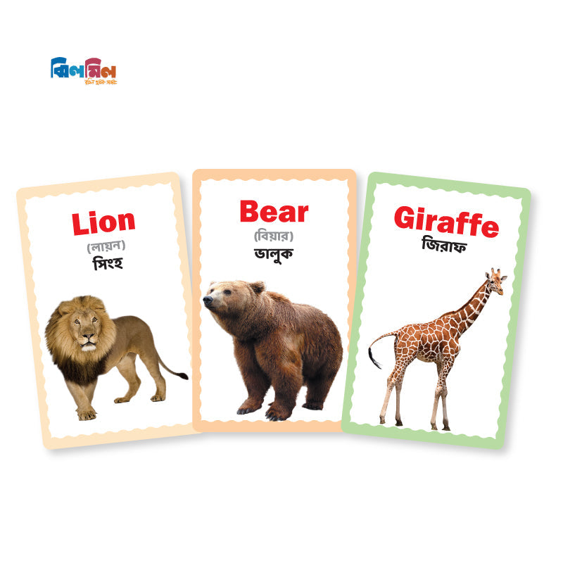 Flash card 7 in One (Small Size)