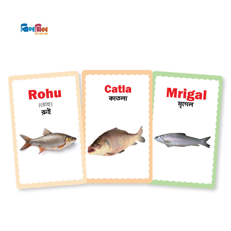 Flash card 7 in One (Small Size)