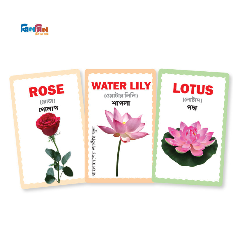 Flash card 7 in One (Small Size)