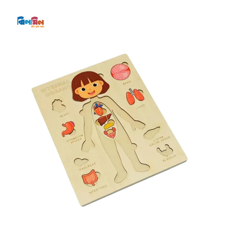 Montessori Human Body Puzzle
