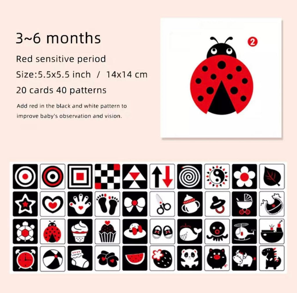 Smart BABY VISION Stimulation Cards (3-6 Months) - Stage-2