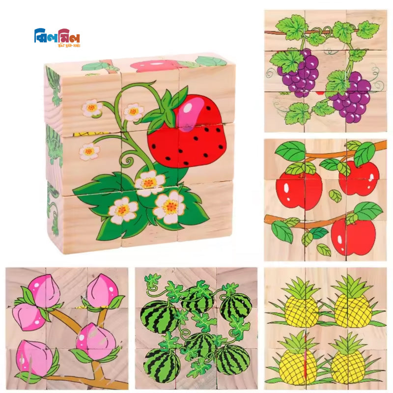 6 Side Painting Fruits Cube Block 3D Wooden Puzzle