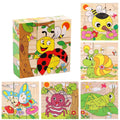 6 Side Painting Insects Block 3D Wooden Puzzle