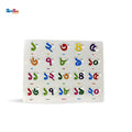 Pvc Puzzle Bangla Numbers