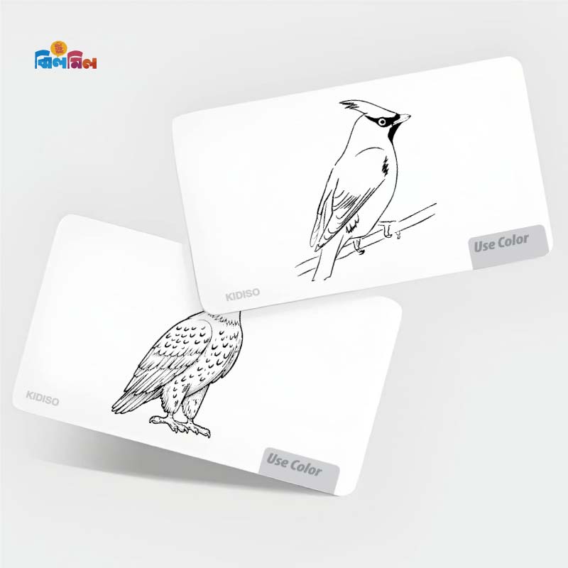 Birds Flash Cards