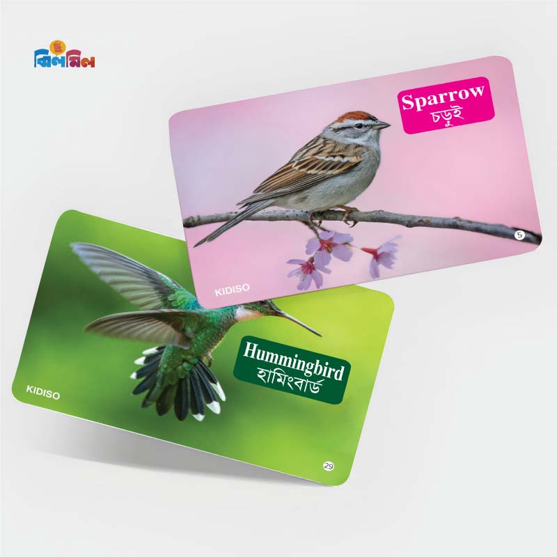 Birds Flash Cards