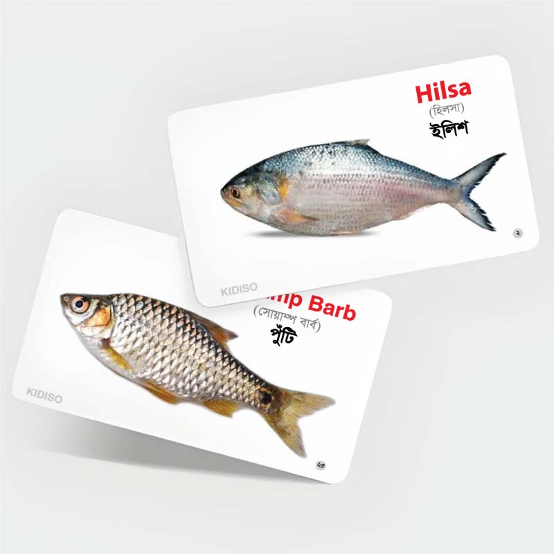 Fishes Flash Cards