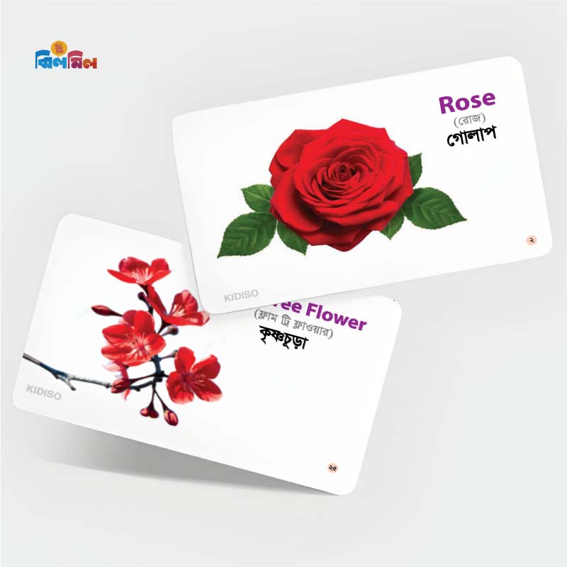 Flowers Flash Cards